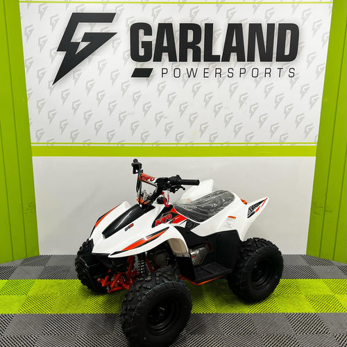 Kayo FOX 70 AY70-2 Kids Petrol Quad Bike