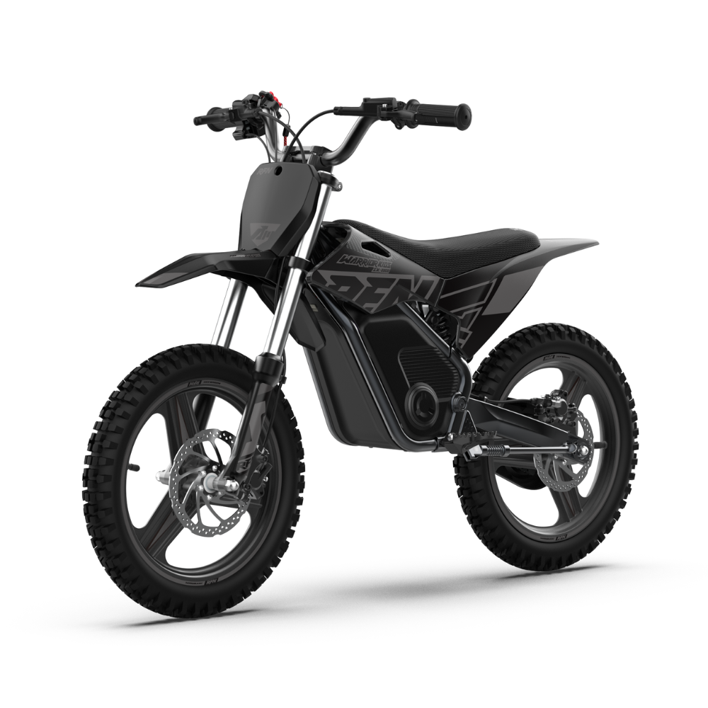 RFN Warrior SX‑E800 Electric Bike - Black
