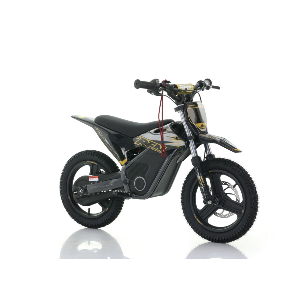 RFN Warrior SX-E500 Electric Bike - Black Gold