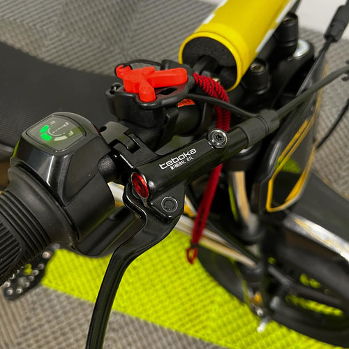 RFN Warrior SX-E700 R SM Edition 700W Electric Bike - Black Gold