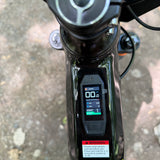 Revvi 24" Electric Bike