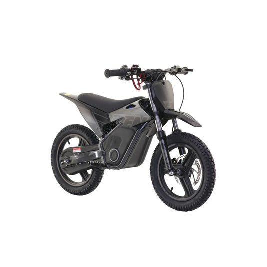 RFN Warrior SX-E700 500W Electric Bike - Black Edition