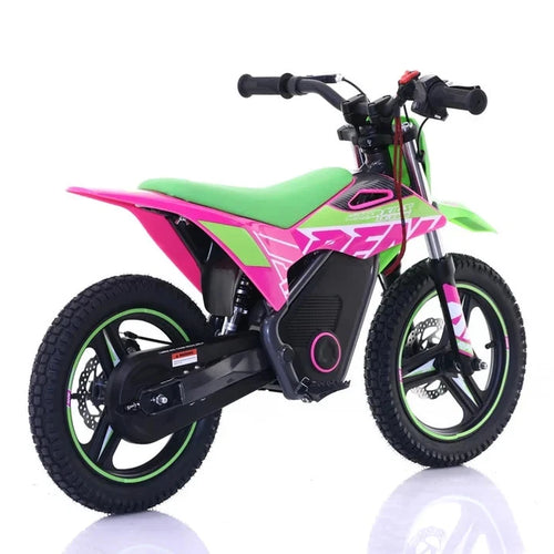 RFN Warrior SX-E500 500W Electric Bike - Green Pink