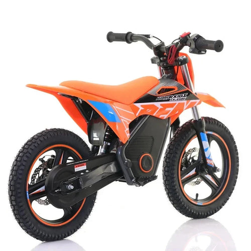RFN Warrior SX-E500 500W Electric Bike - Orange Blue