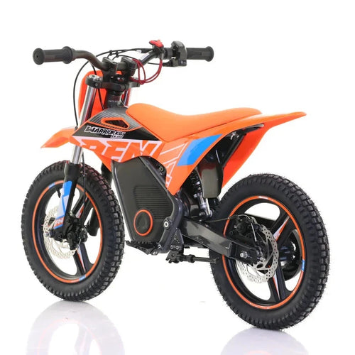 RFN Warrior SX-E500 500W Electric Bike - Orange Blue
