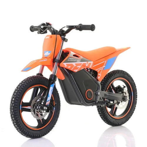 RFN Warrior SX-E500 500W Electric Bike - Orange Blue