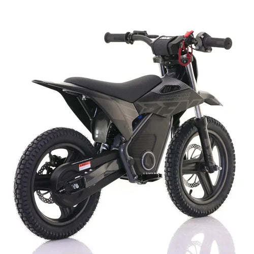 RFN Warrior SX-E700 R MX Edition 700W Electric Bike - Black