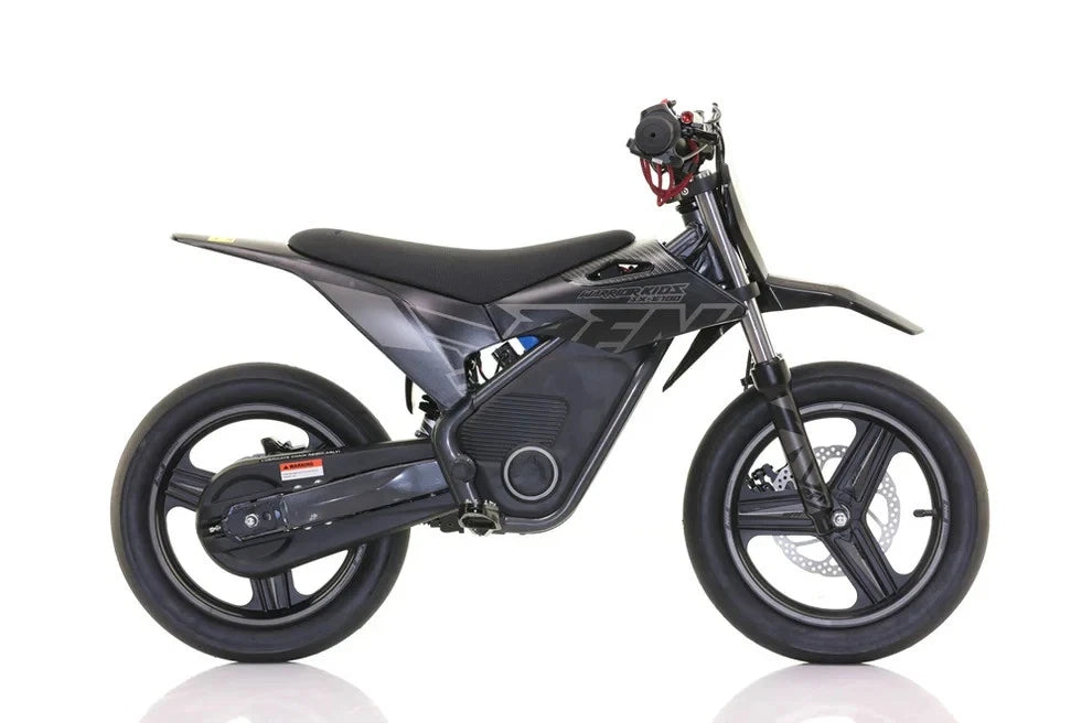 RFN Warrior SX-E700 R SM Edition Electric Bike - Black