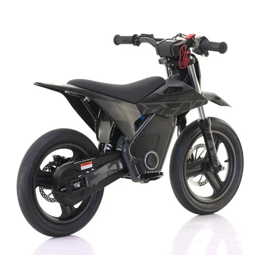 RFN Warrior SX-E700 R SM Edition 700W Electric Bike - Black