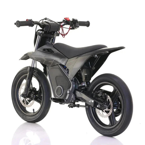 RFN Warrior SX-E700 R SM Edition 700W Electric Bike - Black