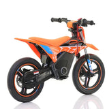RFN Warrior SX-E700 R SM Edition Electric Bike - Orange