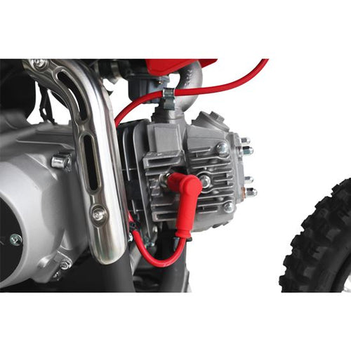 10TEN-JHL SK110 Pit Bike